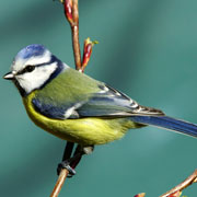 Art class for kids at Arts on the Lake