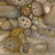 Coming soon to Arts on the Lake
